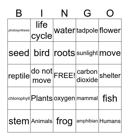 Plants/Animals BINGO Card