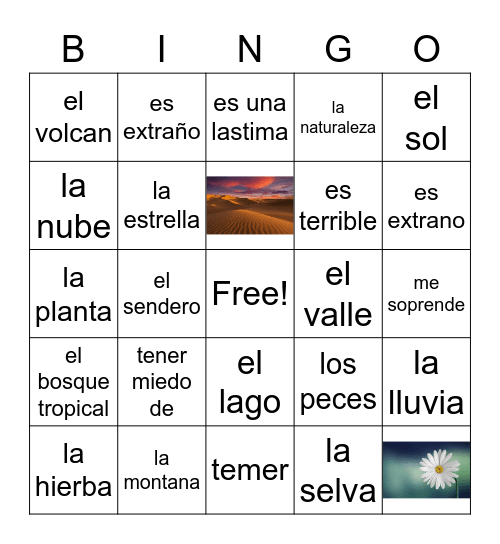 La Naturaleza Bingo Card