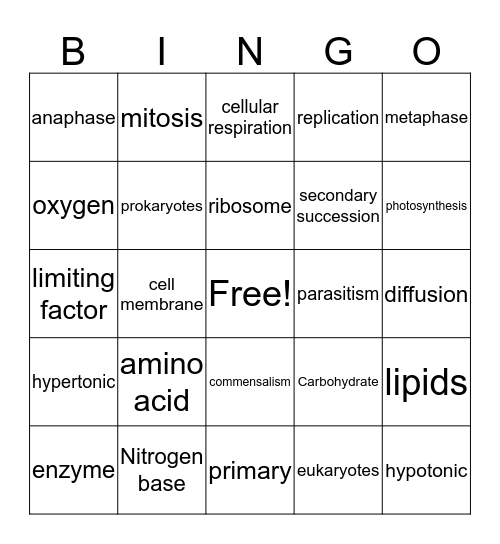 Semester 1 Final BINGO!!!!!! Bingo Card