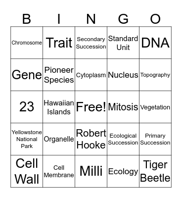 Chapter 3 and 4 Science Bingo Card