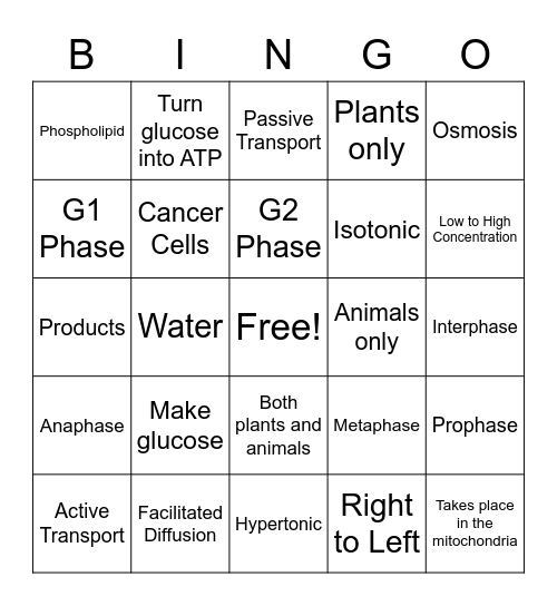 Cell Processes Bingo Game Bingo Card
