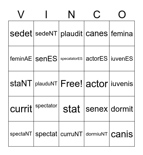 Stage 5 Singular Plural Bingo Card