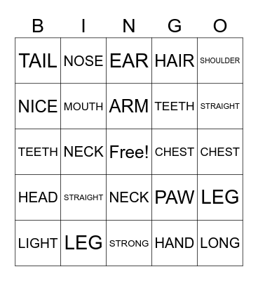 Human and animal Bingo Card