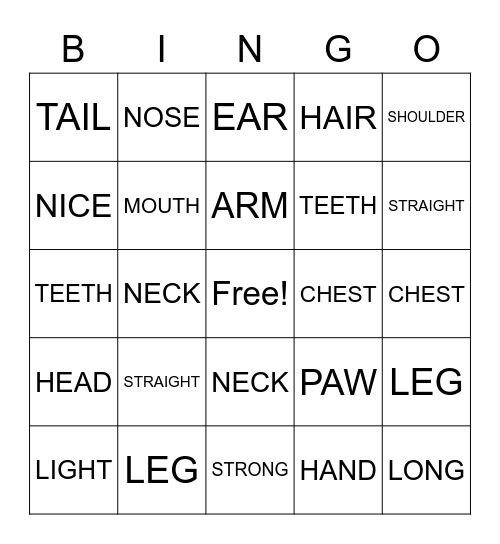 Human and animal Bingo Card