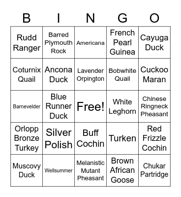 4-H Poultry Bingo Card