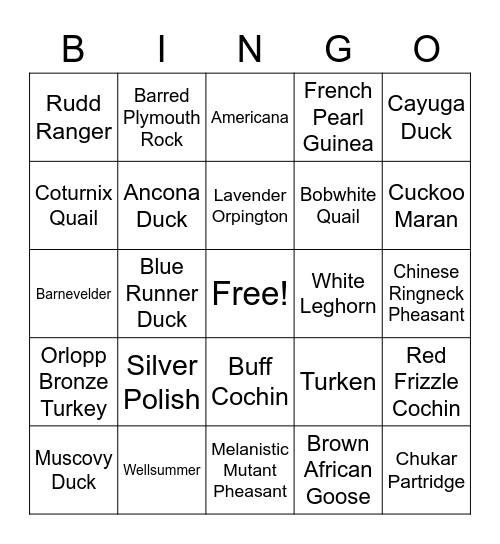 4-H Poultry Bingo Card