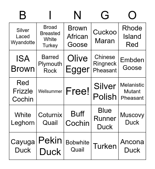 4-H Poultry Bingo Card