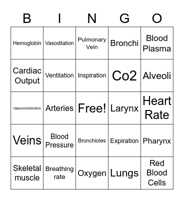 Year 10 Body Systems Bingo Card