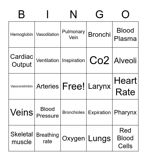 Year 10 Body Systems Bingo Card
