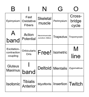 Muscle Physiology and System Bingo Card