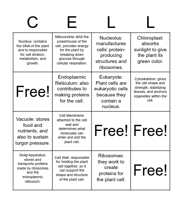 Plant Cell Bingo Card