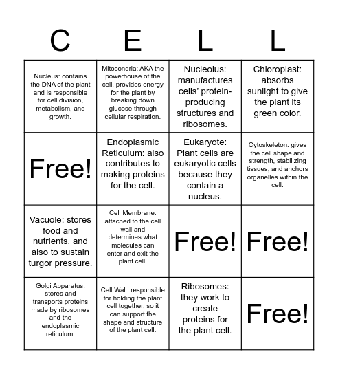 Plant Cell Bingo Card