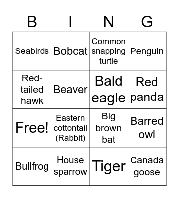 Rhode Island Wildlife Bingo! Bingo Card