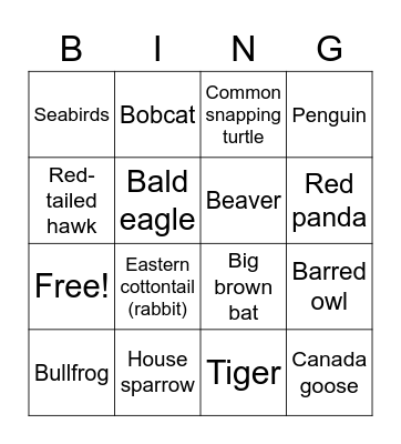 Rhode Island Wildlife Bingo! Bingo Card