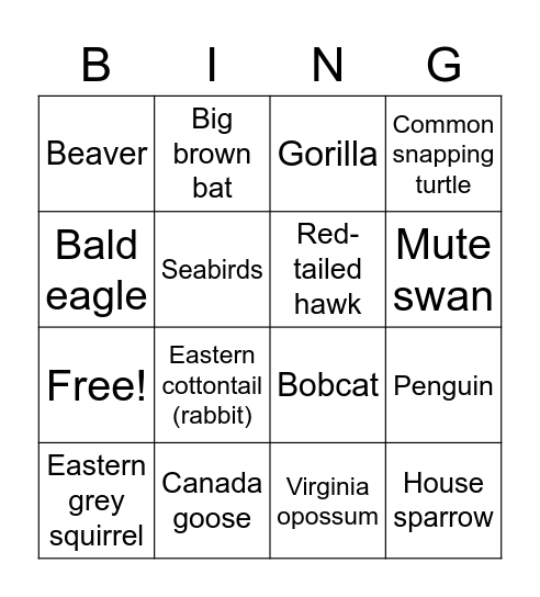 Rhode Island Wildlife Bingo! Bingo Card