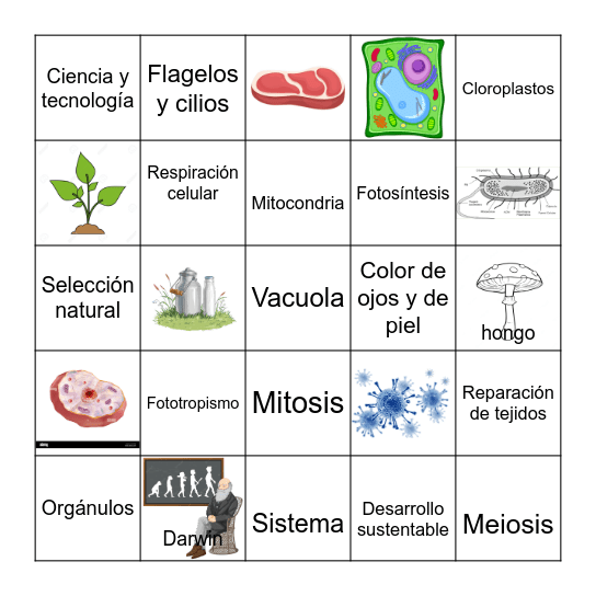 Lotería Biológica Bingo Card