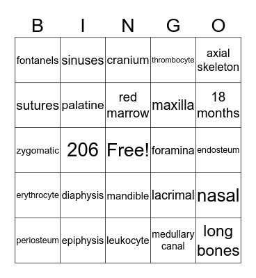 Skeletal System  Bingo Card