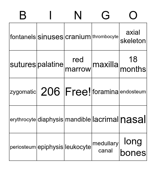 Skeletal System  Bingo Card