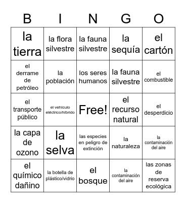 Spanish Project Bingo Card