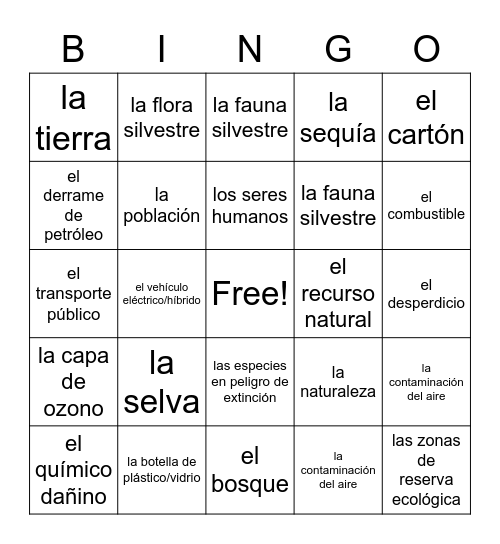 Spanish Project Bingo Card