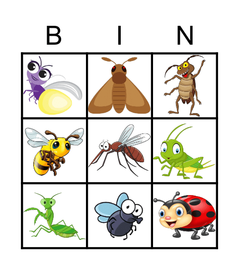 INSECTS! Bingo Card