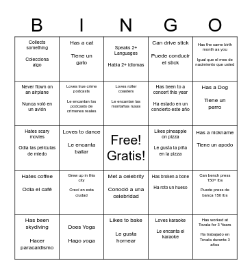 Icebreaker Bingo Card