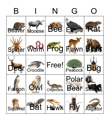 Wild Animals! Bingo Card