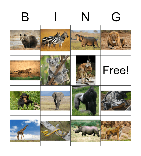 Zoo animals Bingo Card