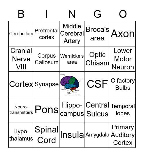 Neuro BINGO! Bingo Card