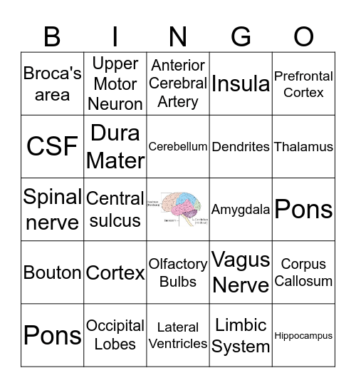 Neuro BINGO! Bingo Card