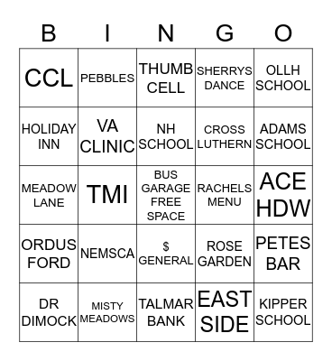 THUMB AREA TRANSIT Bingo Card