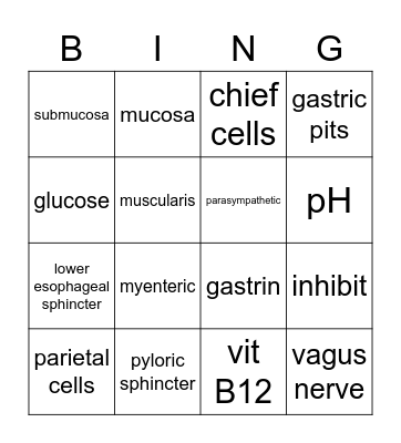 BINGO without the O Bingo Card