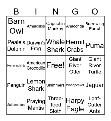 South American Animals Bingo Card