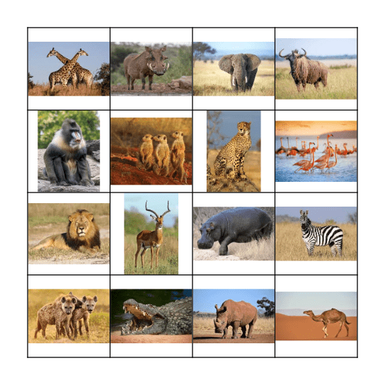 African Animals Bingo Card