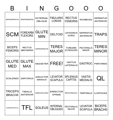 ORIGIN, INSERTION, ACTION Bingo Card