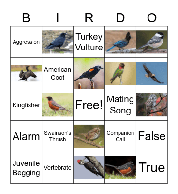 Bird Nerd Bingo Card