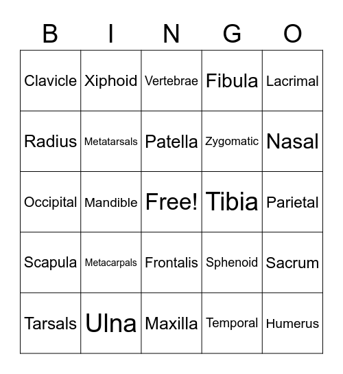 Skeletal System Bingo Card