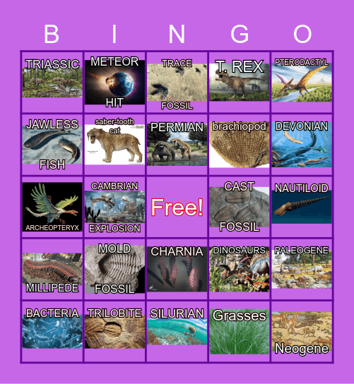 Prehistoric Life on Earth Bingo Card