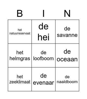 Woordenschat bingo Card