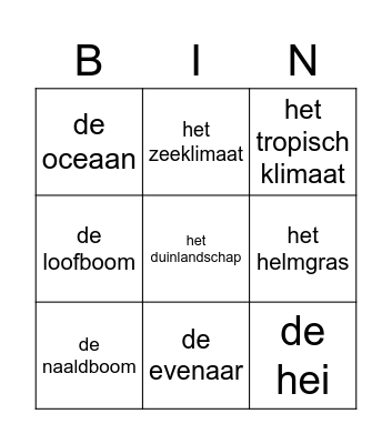 Woordenschat bingo Card
