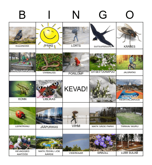 KEVADE Bingo Card