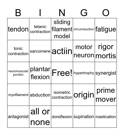 Ch 8 Muscular System Bingo Card