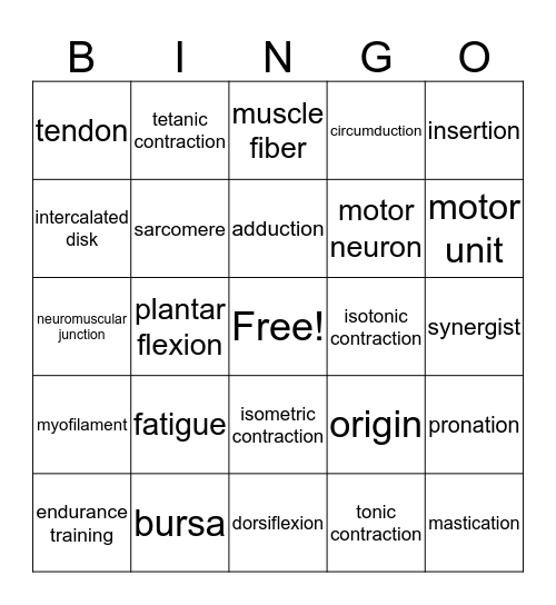 Ch 8 Muscular System Bingo Card