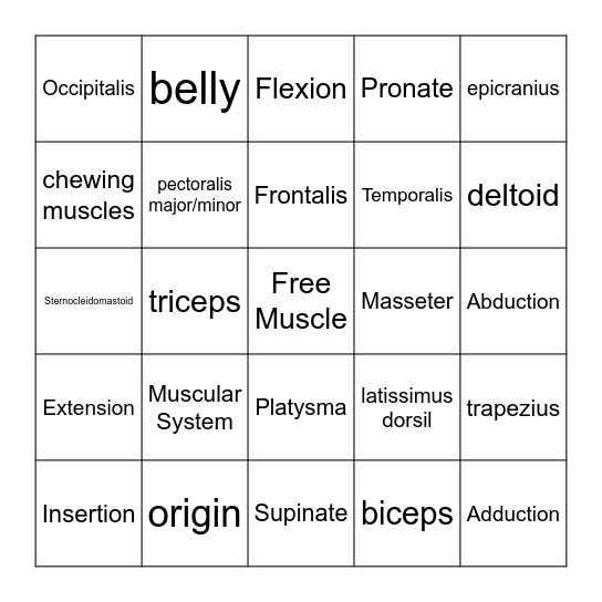 Muscular System Bingo Card