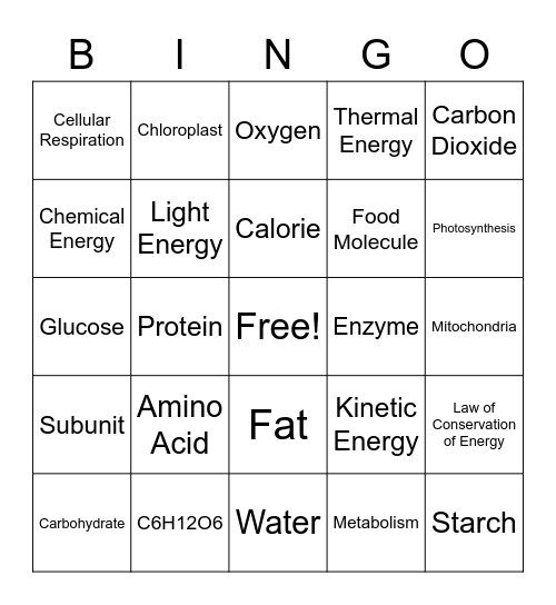 Metabolism Bingo Card