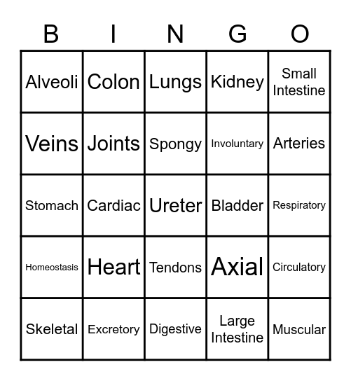 Body Systems Bingo Card