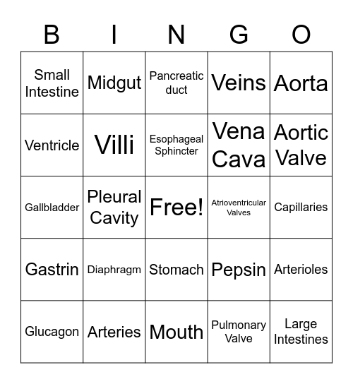 Bio 2 Physiology Bingo Card