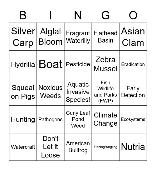 Montana AIS Bingo Card