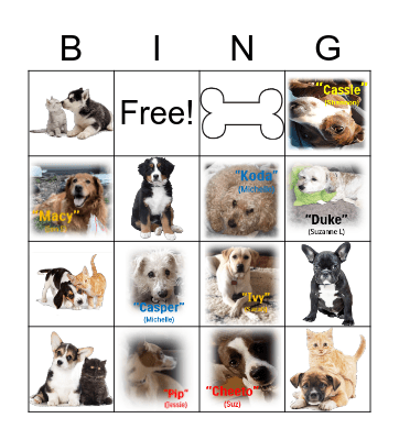 Puppy Love Bingo Card