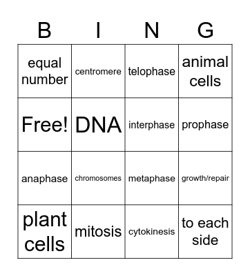 Mitosis Bingo Card